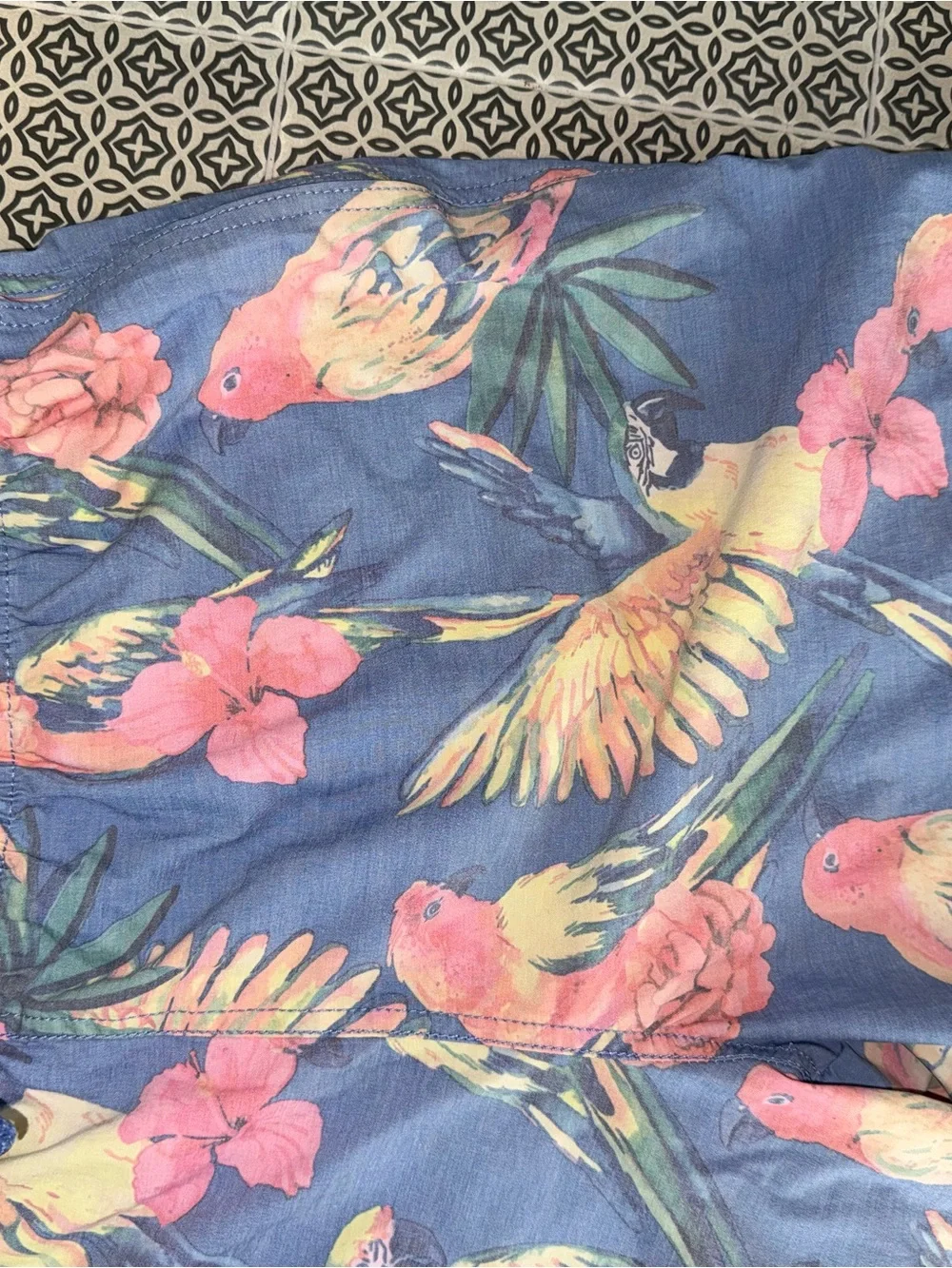 chubbies lightweight blue